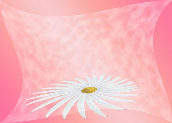 Creation of my flower: Step 5